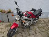 Suzuki GS500E, treue Seele, Scottoiler, Garagenfzg, TÜV - Angebote
