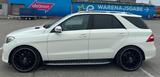Mercedes-Benz ML 350 BlueTEC 4MAT -AMG*PANO*AHK*BI-XENON*KAMER - Mercedes-Benz ML 350: Von Privat