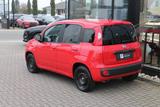 Fiat Panda 1.2 Lounge - gebrauchte Fiat Panda aus dem Jahr 2018