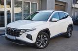 Hyundai Tucson Trend Diesel 2WD KRELL ACC Lenk+SHZ Kam