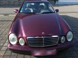 Mercedes-Benz Attraktiver weinroter Mercedes CLK 320 Ele... - aus 1998: Clk Mercedes
