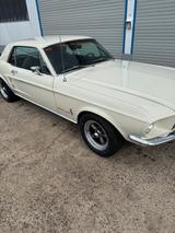 Ford Mustang Bj. 1967 4.7L V8 - Ford Mustang aus 1967: Coupe