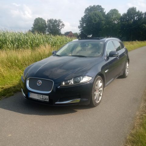 Jaguar XF 3.0 L V6 Diesel Sportbrake - sehr gut erhalte