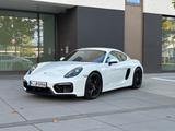 Porsche 981 Cayman GTS - Porsche Cayman 981 Gebrauchtwagen