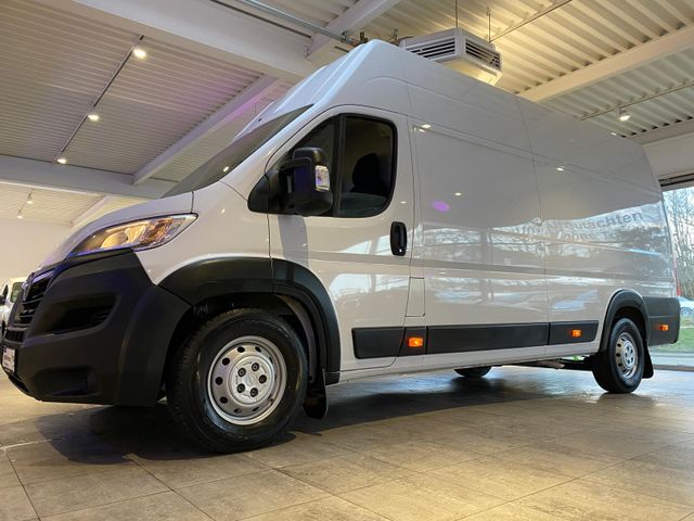 Opel Movano L4-H3 Maxi XXL *Hoch+Lang*Garantie