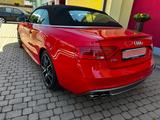 Audi S5 3.0 TFSI S tronic quattro Cabriolet - - Audi S5: Leder
