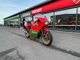 Ducati 1000 MHR Mike Hailwood Replica *Conti, PVM* - DUCATI REPLICA