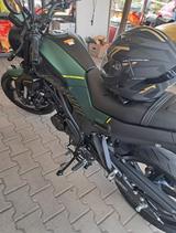Benelli Leoncino 125er Neuwertig - BENELLI LEONCINO