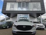 Mazda CX-30 2.5L  140PS Nagisa, sofort - Mazda CX-30 mit Hybrid-Antrieb: Nagisa