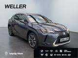 Lexus UX 250h Style Edition *Bi-LED*ACC*CAM*SHZ*CarPla - Lexus Gebrauchtwagen von 2022