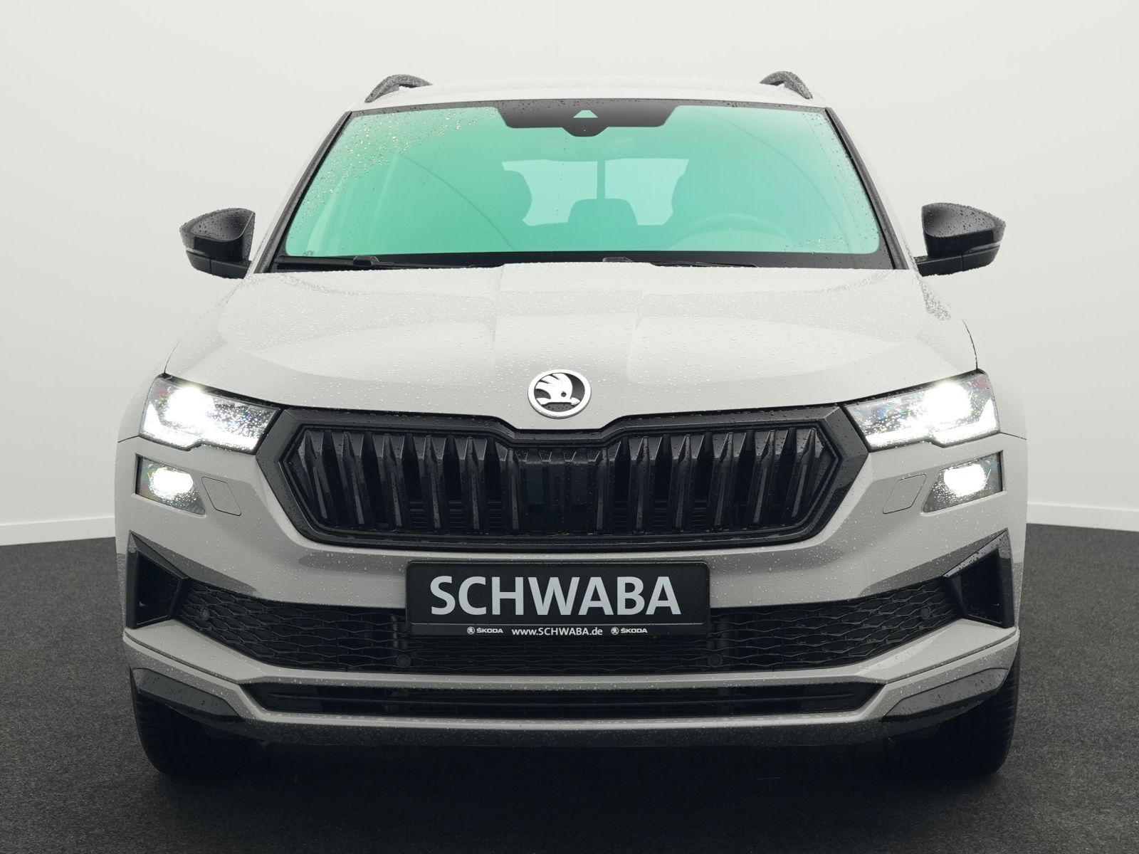 Skoda Karoq - Bild 7