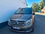 Mercedes-Benz V 220 CDI AVANTGARDE lang AVANTGARDE - mit Diesel-Antrieb: Gold, Vollleder