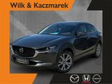Mazda CX-30 2.5 AT Takumi Leder Matrix Bose 360 HUD AC - Mazda CX-30 Takumi mit Hybrid-Antrieb (Benzin/Elektro)