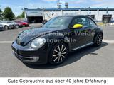 Volkswagen Beetle Lim. Design-Klima-Sportfahrwerk-18"Felgen - Volkswagen: Felgen