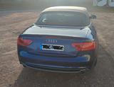 Audi A5 3.0 TDI 180kW S tr. quat. Cabriolet - - Audi A5 mit Diesel-Antrieb: 3.0