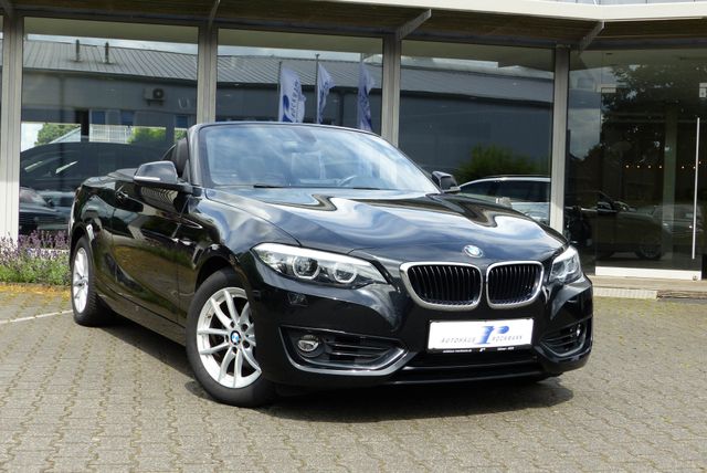 BMW 218i Cabrio Aut. Navi PDC Tempo Leder Windschott