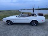 Ford Mustang - gebrauchte Ford Mustang aus dem Jahr 1973