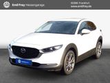 Mazda CX-30 e-SKYACTIVE X 186 SKYACTIV-Drive EXCLUSIVE - Mazda CX-30 aus 2023