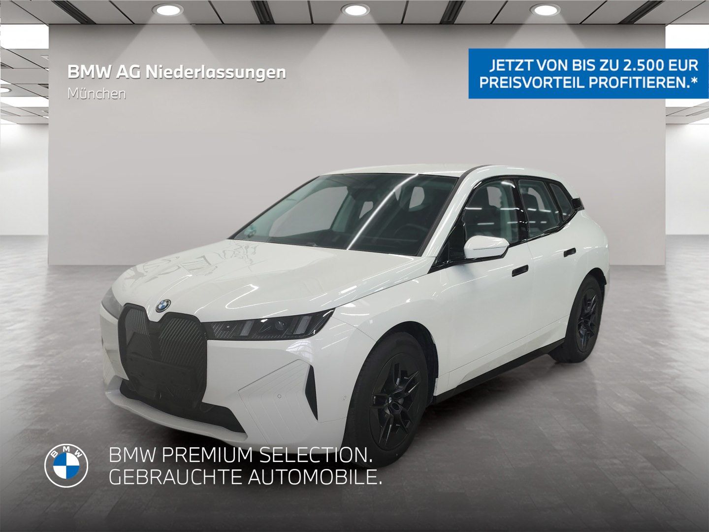 BMW iX xDrive45 AHK Driv.Assist+ Harman/K Kamera
