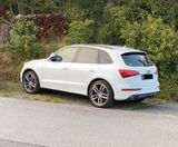 Audi SQ5 3.0 TDI Quattro AHK B&O ACC 21 K... - Audi quattro: 3.2