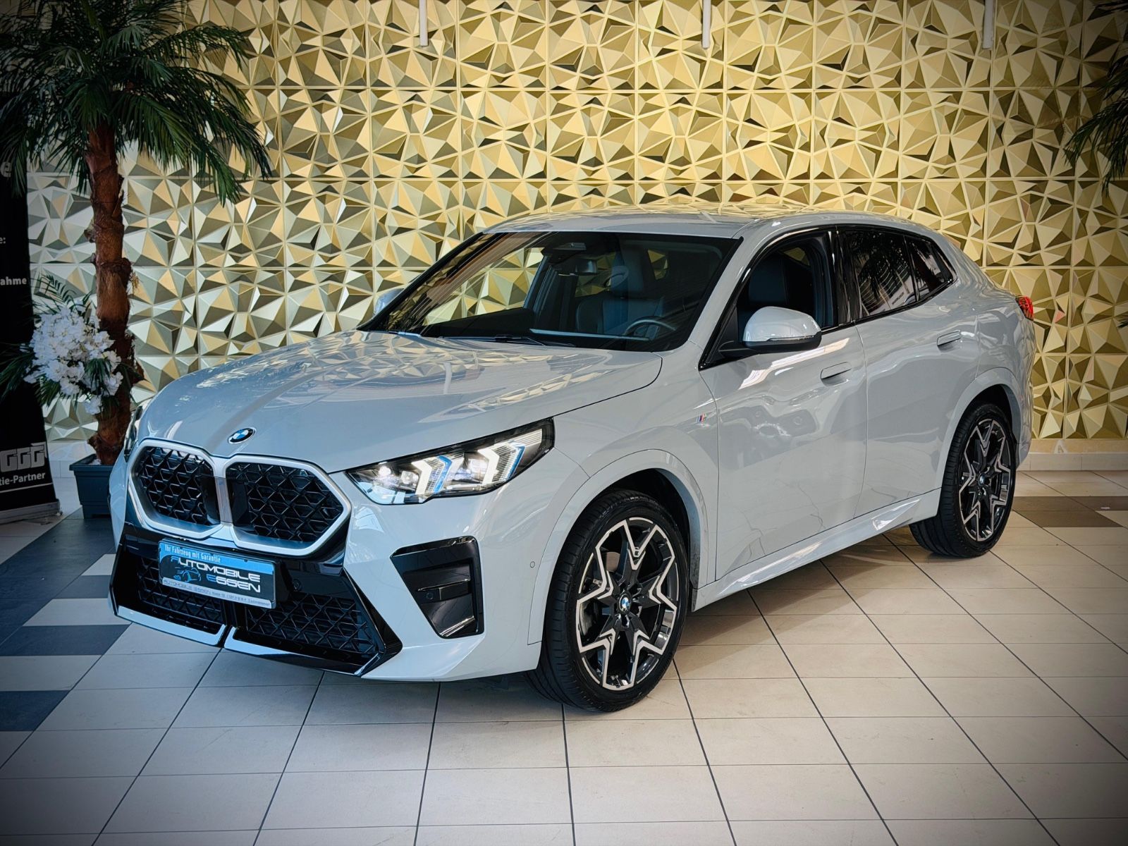 BMW X2 18d sDrive M-SPORTPAKET 1.HAND NAVI LEDER EU6