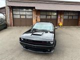 Dodge 5.7L V8*AUTO-*NAVI*LEDER*XENON*LED*SERVICE NEU - Dodge Challenger: X