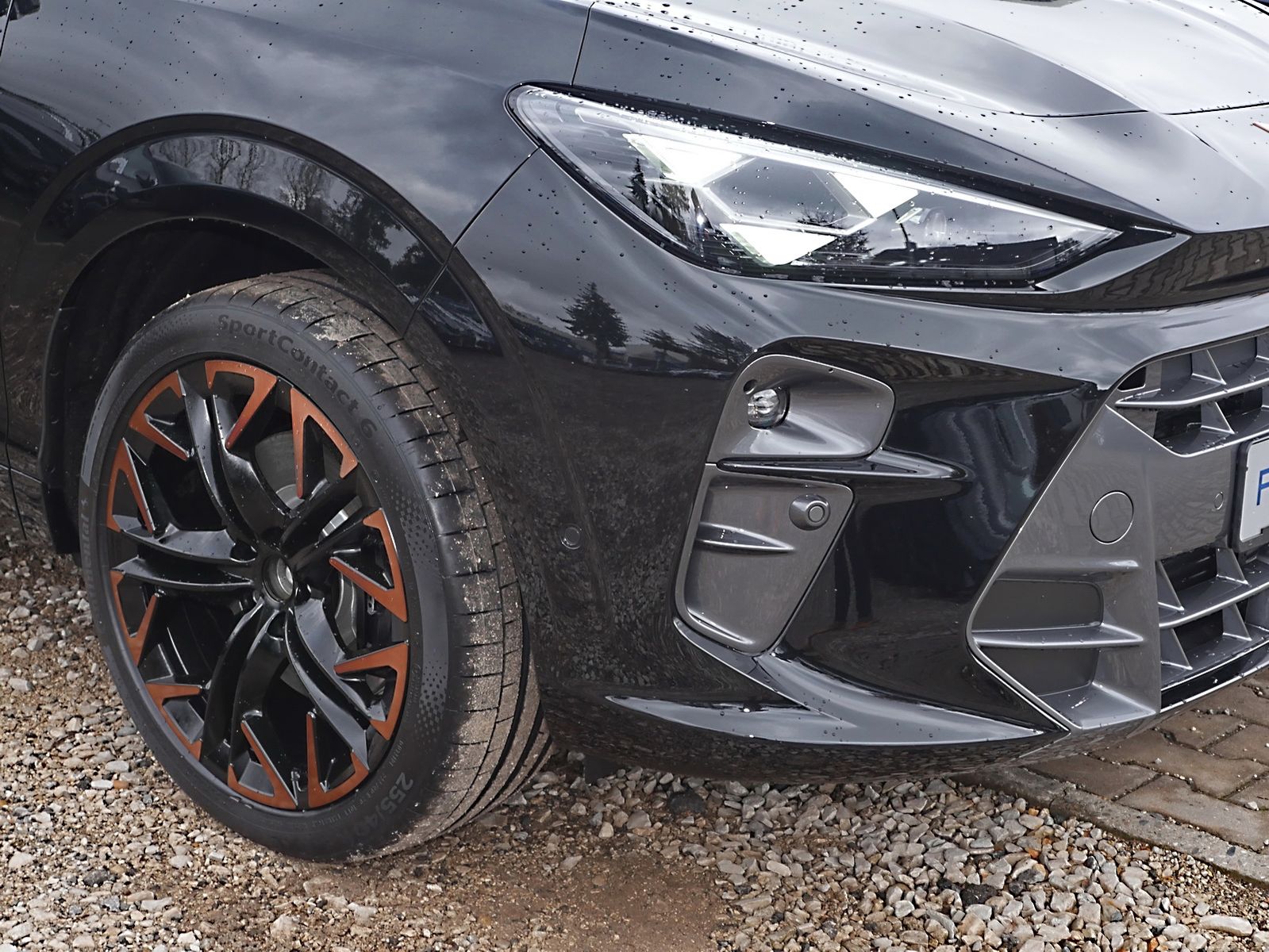 Cupra Terramar - Bild 14