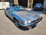 Jaguar XJS 5,3 V12 Cabriolet In Top Zustand  - graue Jaguar XJS