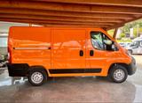 Fiat Ducato L1H1 / Camperausbau  - Fiat Ducato: Camper