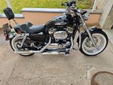Harley-Davidson Sportster xl 1200 Custom - Offers matching your search criteria
