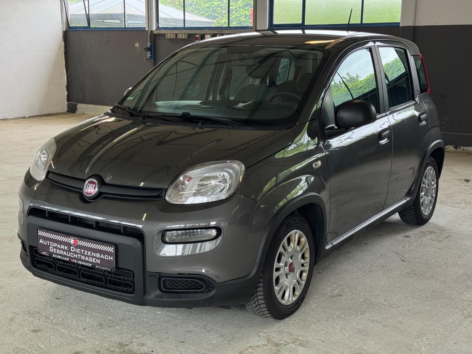 Fiat Panda Hybrid/Benzin