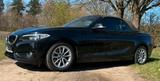 BMW 218i Cabrio , Leder , Klima, SHZ,  8-fach - BMW: 2.8