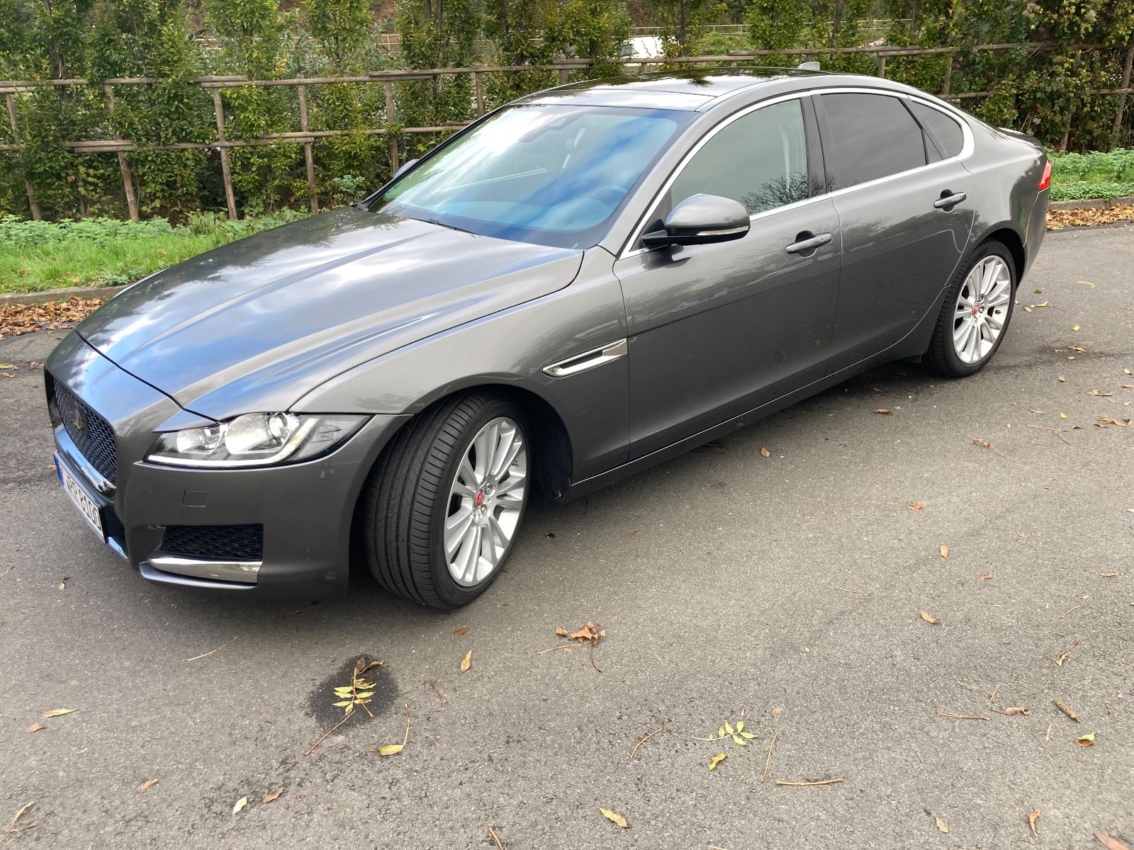 JAGUAR XF