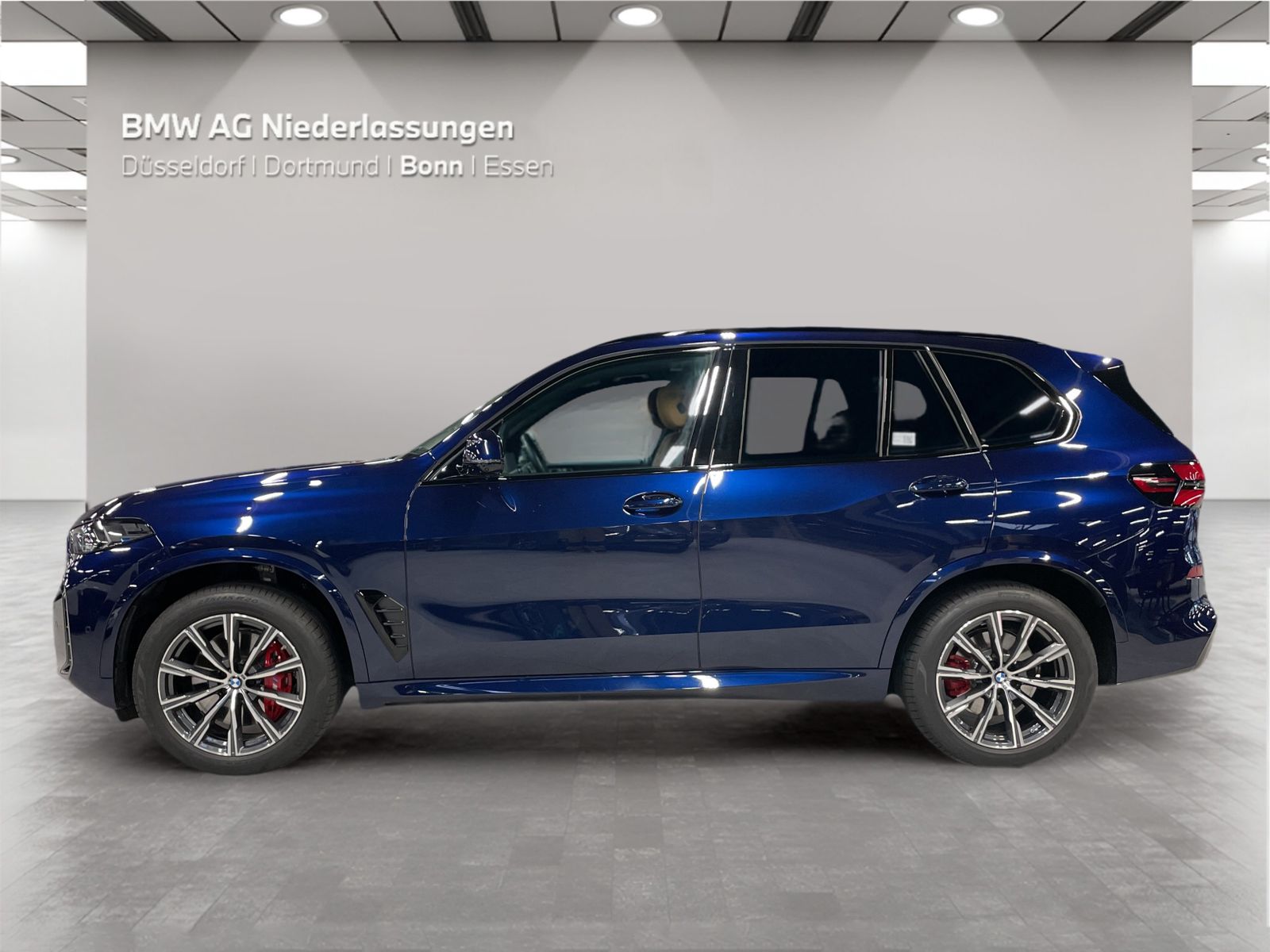BMW X5 - Bild 5