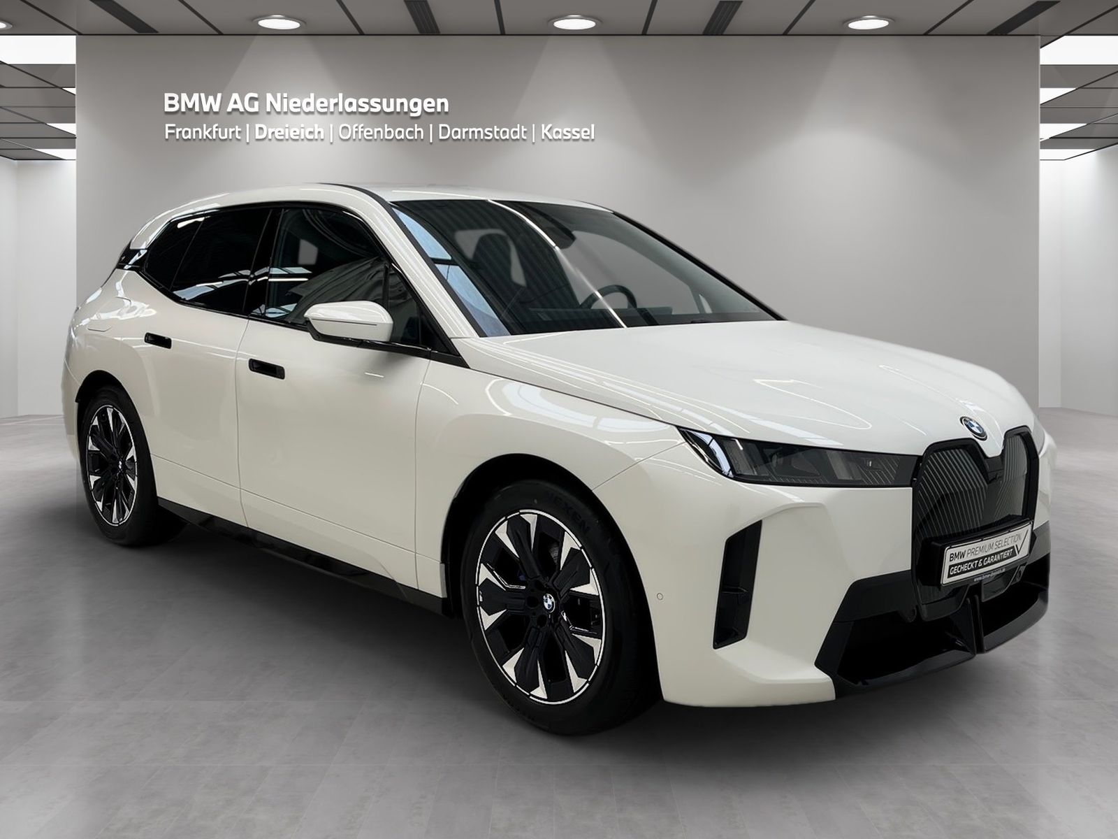 BMW iX xDrive45 M Sport AHK Driv.Assist.Prof Kamera foto 3