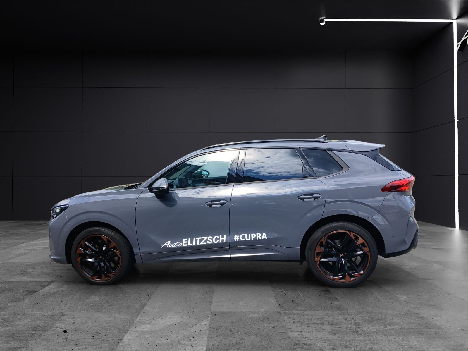 Fahrzeugabbildung CUPRA Terramar VZ 2.0TSI 4Drive Matrix Pano Akebono HU