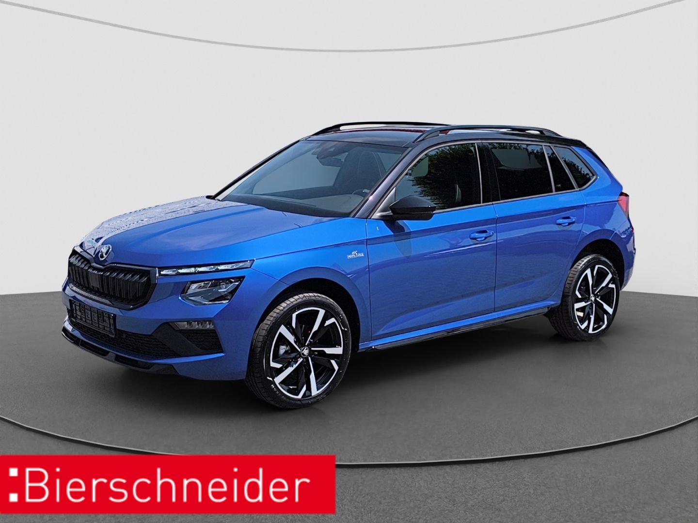 Skoda Kamiq 1.5 TSI DSG Monte Carlo AHK LED 18 ZOLL