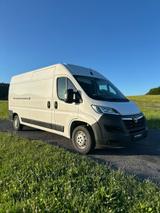 Opel Movano L3H2 - Opel: Firmenfahrzeug