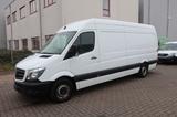 Mercedes-Benz Sprinter 313CDI 1. Hand / MAXI / Rampe / FN:64 - Mercedes-Benz Sprinter: 313 Cdi Maxi