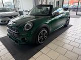 MINI COOPER_S Cabrio  Works paket - MINI MINI mit Benzin-Antrieb: Leder, Cabrio