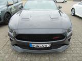 Ford Mustang GT Convertible 5.0 V8 Autom - Ford Mustang: Cabrio
