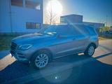 Mercedes-Benz Mercedes ML 250D - : Mercedes Ml