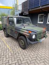 Mercedes-Benz G 250 BW Wolf - Mercedes-Benz G 250: Wolf