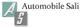 Automobile Sali