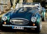 Andere Sebring Roadster, optisch ähnlich Austin Healey