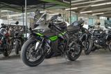 Kawasaki Ninja ZX6R, Modell 2026, sofort lieferbar - Kawasaki Motorräder in Dresden