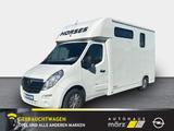 Opel Movano B Pferdetransporter (3,5t) L1H1 Carplay,A - Opel Movano Kombi Gebrauchtwagen