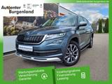 Skoda Kodiaq  2.0 TDI SCOUT 4x4 DSG AHK NAVI KLIMA PDC - Skoda Kodiaq Scout mit Diesel-Antrieb