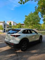 Mazda CX-30 2.0 e-SKYACTIV-X M-Hybrid AWD Selection - Mazda CX-30 von privat