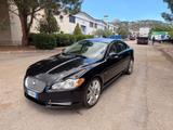 Jaguar XF 2.7 D 200 CV Premium Luxury - Jaguar XF: 2.7